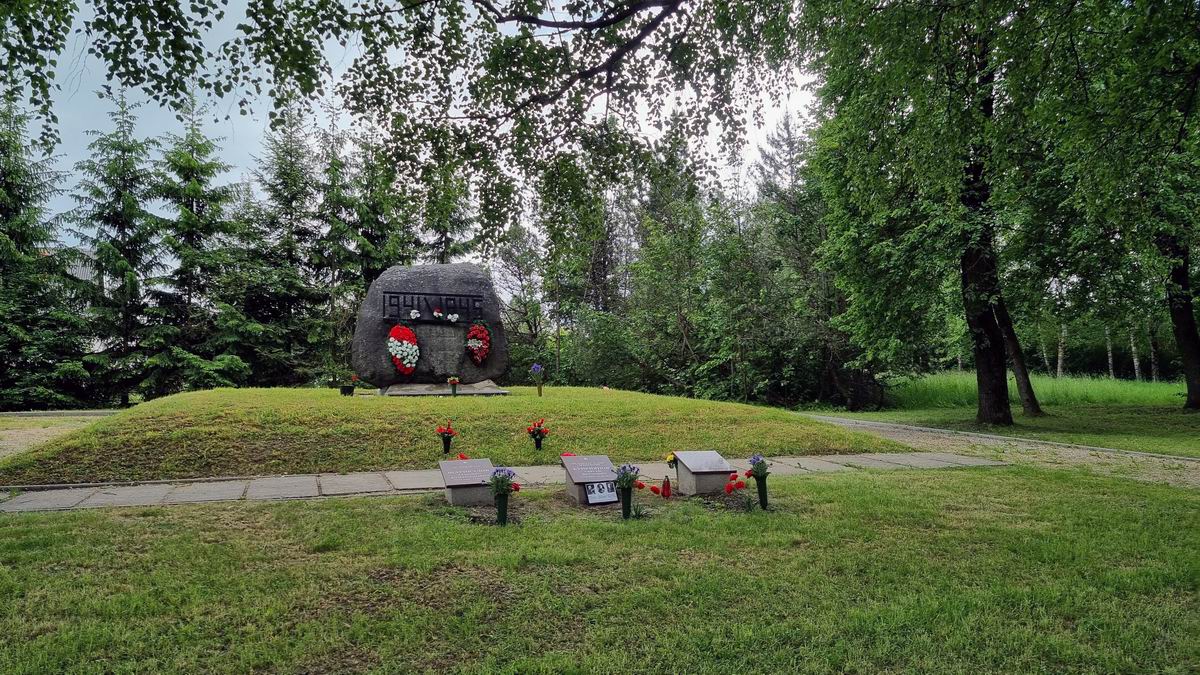 Воинское кладбище в городе Екабпилс (общий вид)